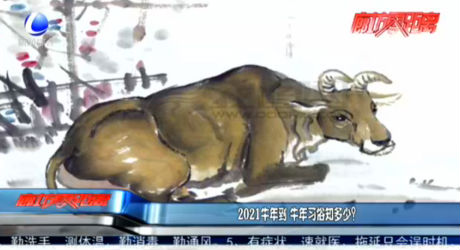 2021牛年到 牛年習(xí)俗知多少？