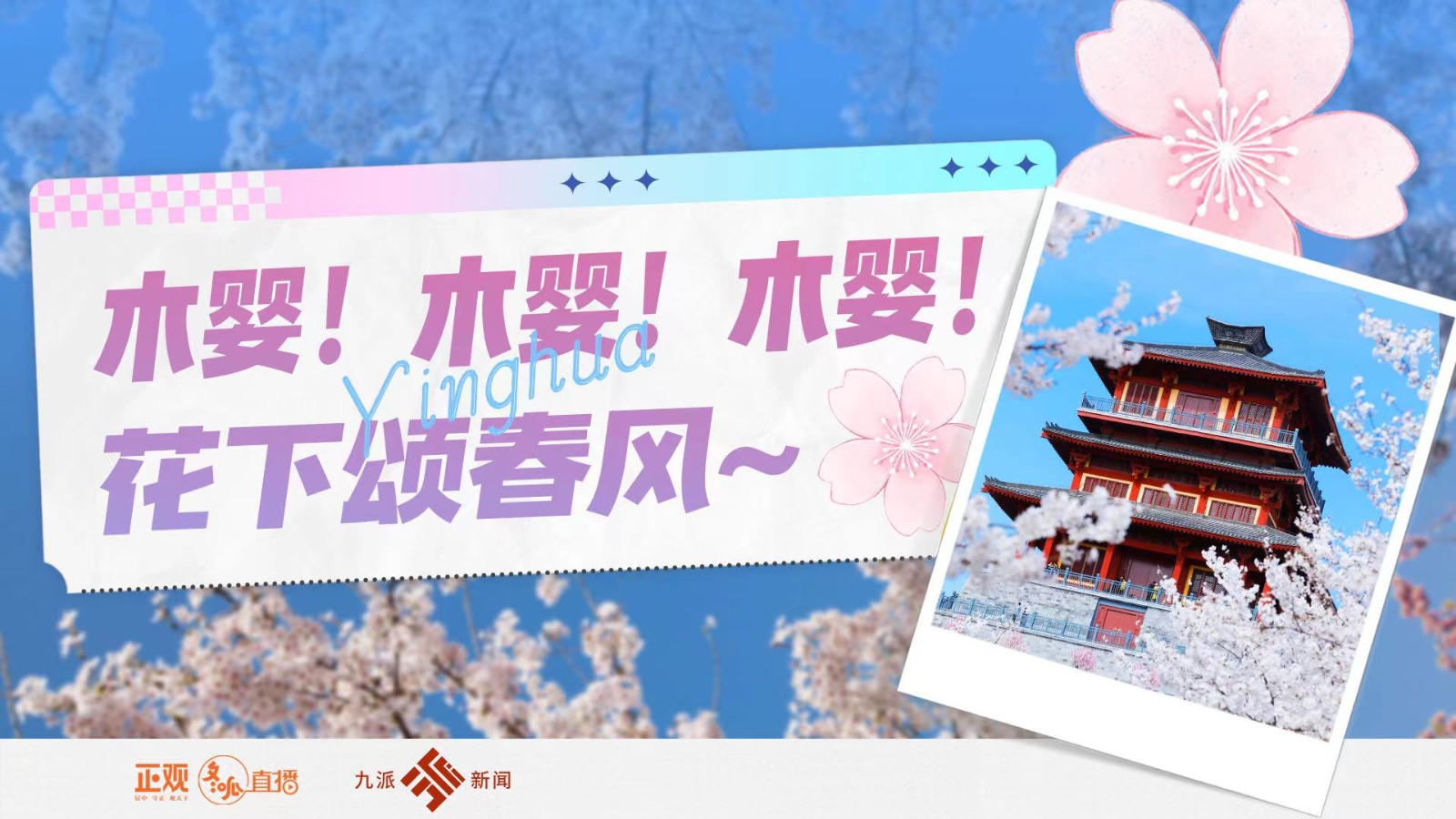 木嬰！木嬰！木嬰！花下頌春風(fēng)~