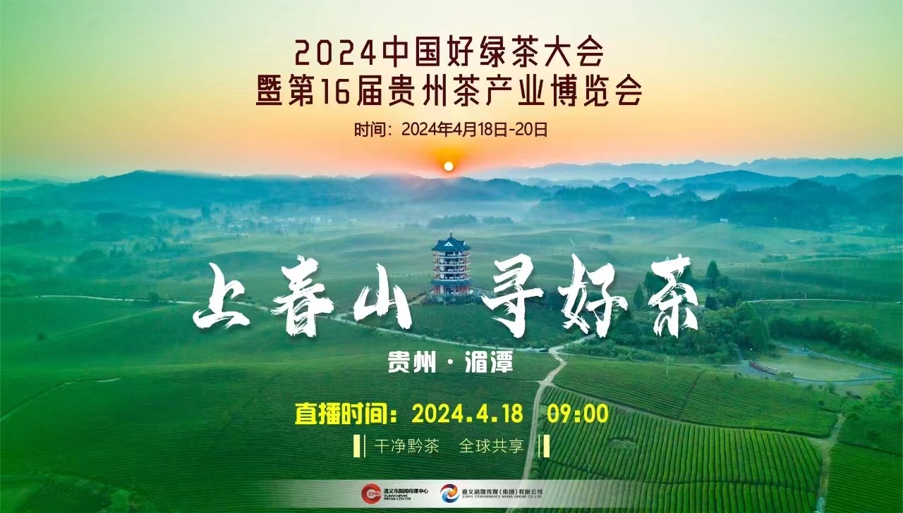 “上春山 采春茶”2024來遵義湄潭，一起采春茶