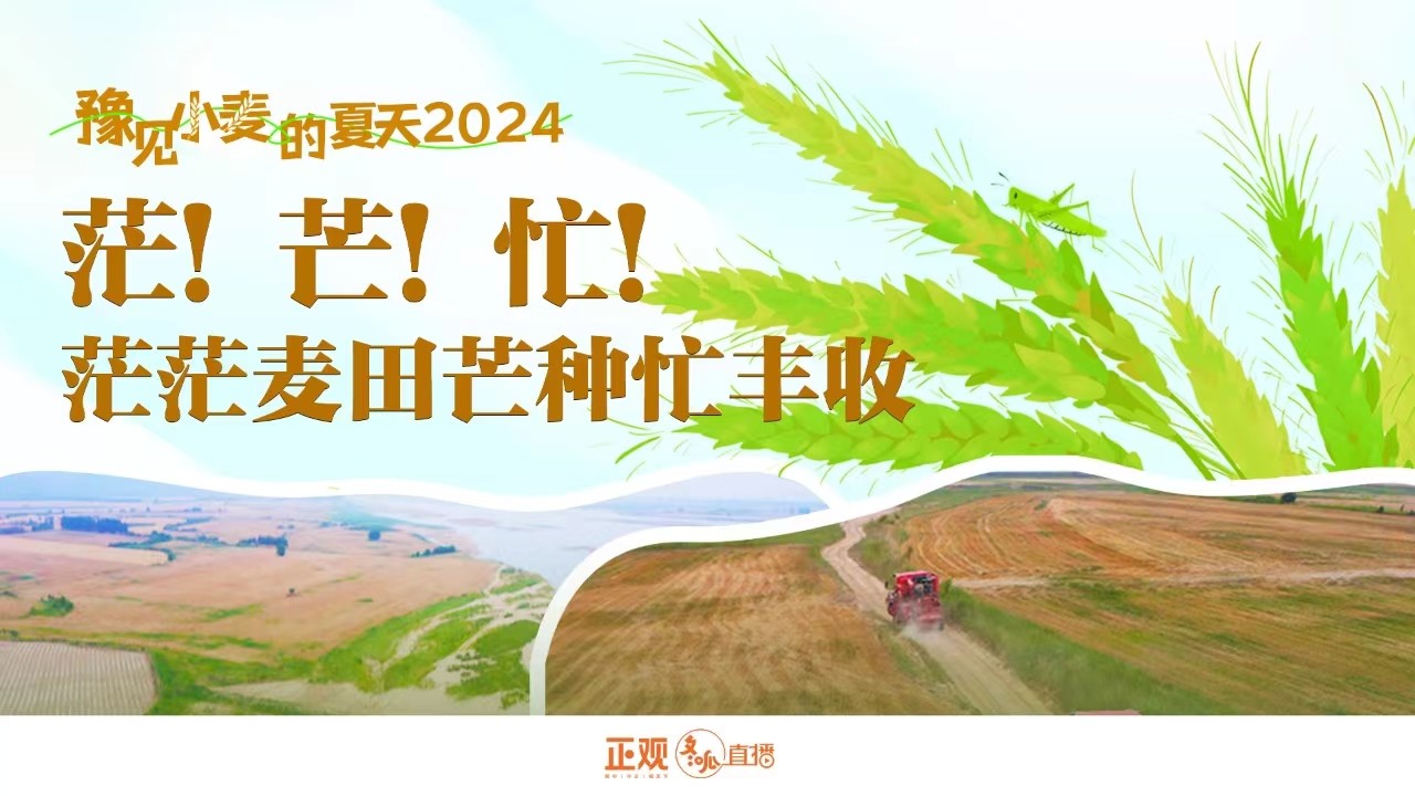 豫見(jiàn)小麥的夏天2024 | 茫！芒！忙！茫茫麥田芒種忙豐收！