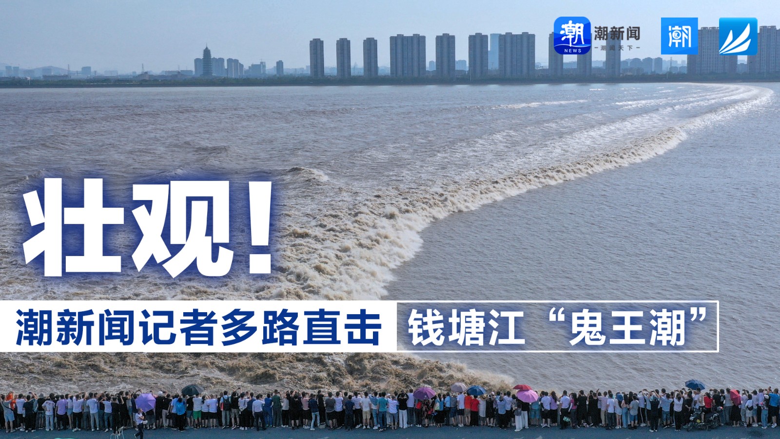 壯觀！潮新聞?dòng)浾叨嗦分睋翦X塘江“鬼王潮”