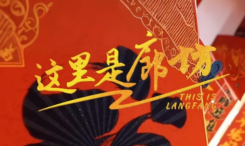 【這里是廊坊】廊坊有“貨”，新春狂歡不打烊！